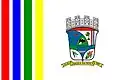 Bandeira de Várzea da Roça