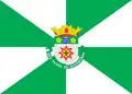 Bandeira de São Pedro de Alcântara