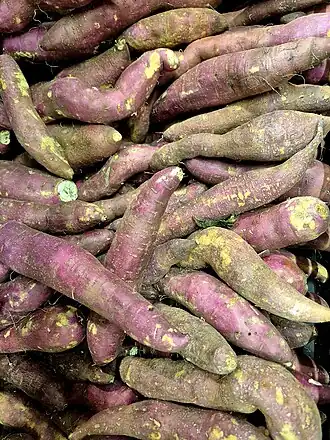 Batata-doce, ou jetica