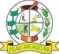 Brasão de armas de Pilão Arcado