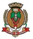 Brasão de armas de Flores da Cunha