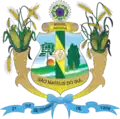 Brasão de armas de São Mateus do Sul