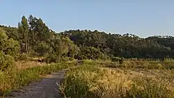 Vegetação e aspeto da Serra da Carregueira, no Casal do Brouco.
