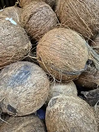 Fruto dos coqueiros (cocos) à venda