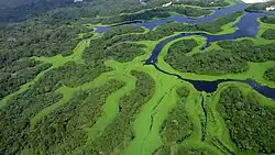 Parque Nacional de Anavilhanas, Brasil