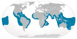 Distribuição natural do tubarão-tigre (em azul).