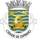 Brasão de Espinho
