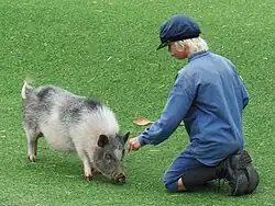 Emílio no Mundo de Astrid Lindgren, em Vimmerby