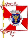 Bandeira de Penafiel