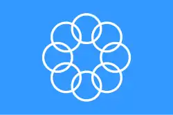 Proposta de bandeira com 8 anéis.