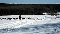 Tiro de campo nórdico com rifle na Suécia durante o inverno em 2012.