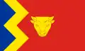 Bandeira de Birmingham