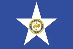 Bandeira de Houston