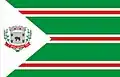 Bandeira de Erval Grande