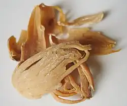 Macis (de noz-moscada)