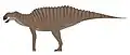 Gryposaurus? alsatei