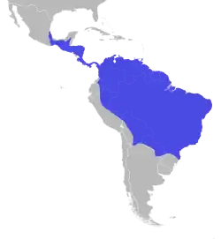 Distribuição do gavião-real na América do Norte, América Central e América do Sul
