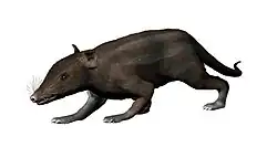 Juramaia, um mamífero primitivo