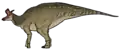 Lambeosaurus lambei