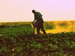 Agricultura na atual Zâmbia, praticada pelo Homem, uma espécie de primata