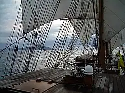 NVe Cisne Branco da Marinha do Brasil em sua passagem pelo Cabo Horn, 2010.