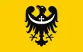 Bandeira de Voivodia da Baixa Silésia Województwo dolnośląskie