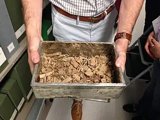 Esta imagem mostra uma pessoa a segurar uma caixa metálica cheia de pequenos fragmentos de papiro histórico do Egipto. Estes fragmentos estão guardados na Biblioteca da Universidade do Michigan, em Ann Arbor, Michigan.