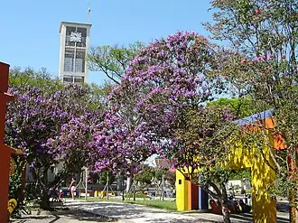 Centro de Sapiranga com a torre da Igreja Evangélica ao fundo