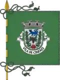 Bandeira de Cinfães