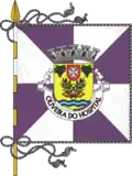 Bandeira de Oliveira do Hospital