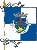 Bandeira de Penacova