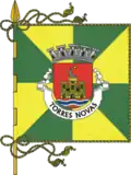 Bandeira de Torres Novas