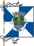 Bandeira de Trofa