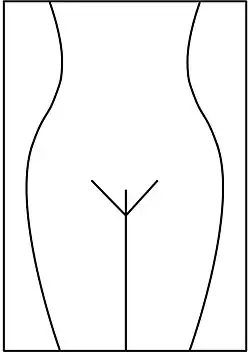 Brazilian wax (full wax) ou Hollywood