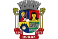 Brasão de armas de Queluz