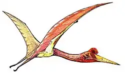 Quetzalcoatlus Um pterossauro