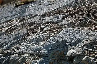 Ripple marks simétricas e interferência de ondas – Dakota Sandstone (Colorado, EUA)