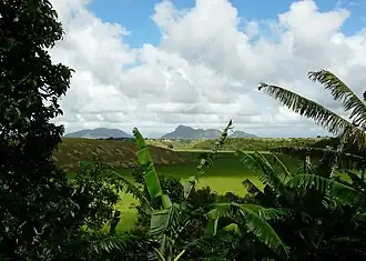 Paróquia São Gonçalo do Amarante