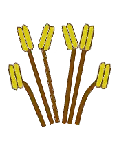 Estames tetradínamos