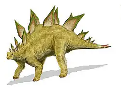 Stegosaurus viveu durante o Jurassico tardio.