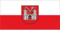 Bandeira de Tartu