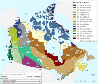 Mapa mostrando o Canadá dividido em diferentes ecozonas