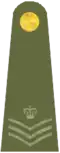 Exército Britânico (Staff Sergeant)