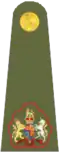 Exército Britânico (Warrant Officer, Class One)