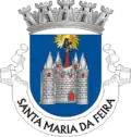 Brasão de Santa Maria da Feira