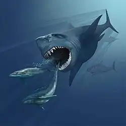 Megalodonte, um tubarão