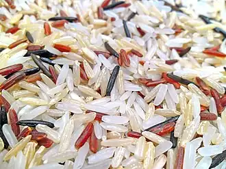 Vários tipos de grãos de arroz
