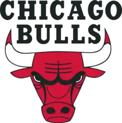 Chicago Bulls logo