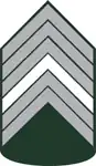 1° Sargento do Exército Brasileiro