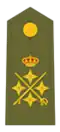 Exército de Terra da Espanha(General de Ejército)